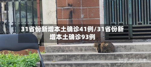 31省份新增本土确诊41例/31省份新增本土确诊93例-第3张图片