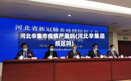 河北辛集市疫情严重吗(河北辛集是疫区吗)-第2张图片