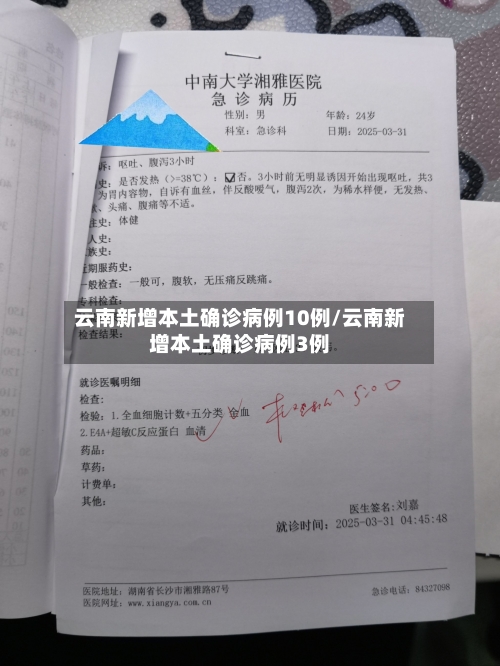 云南新增本土确诊病例10例/云南新增本土确诊病例3例