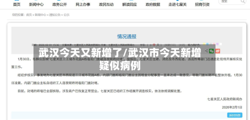 武汉今天又新增了/武汉市今天新增疑似病例-第2张图片