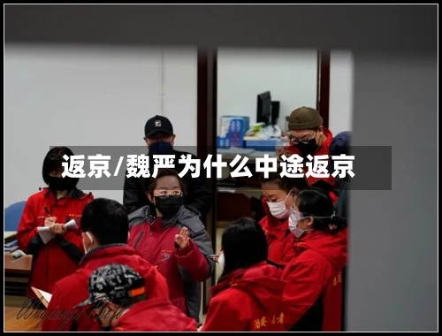 返京/魏严为什么中途返京