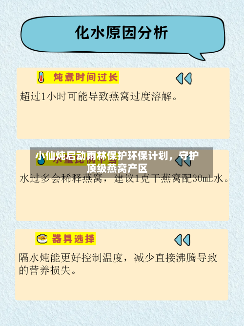 小仙炖启动雨林保护环保计划，守护顶级燕窝产区-第3张图片