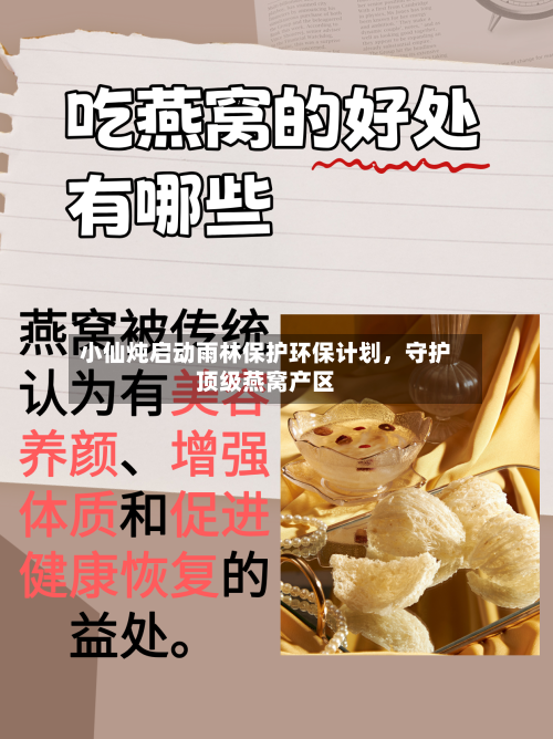 小仙炖启动雨林保护环保计划，守护顶级燕窝产区